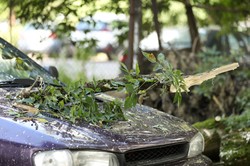 Potężny wiatr w Rumunii. Powalone drzewa i uszkodzone samochody