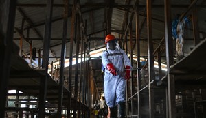DR Kongo, ebola, epidemija