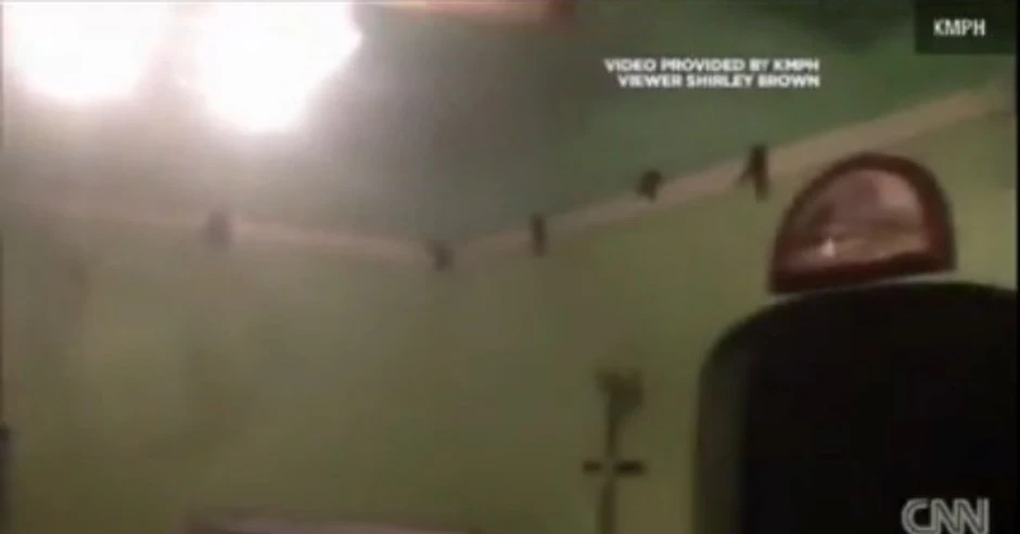 Ptice su bile na zidovima, plafonu, ventilatoru,...