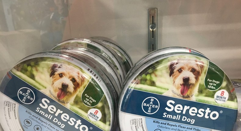 Seresto pet collars should be banned after being linked to deaths of ...