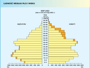 Spis powszechny 2011: Jak Polska zmieniła się przez ostatnich 9 lat