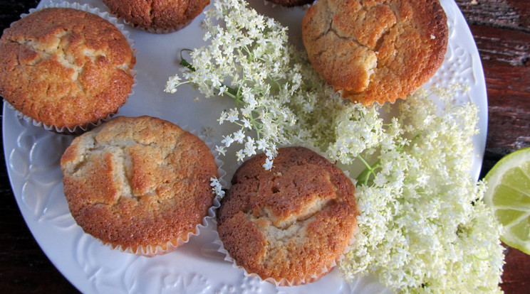 Gluténmentes bodzavirág muffin / Fotó: Putóczki Gáborné Emese