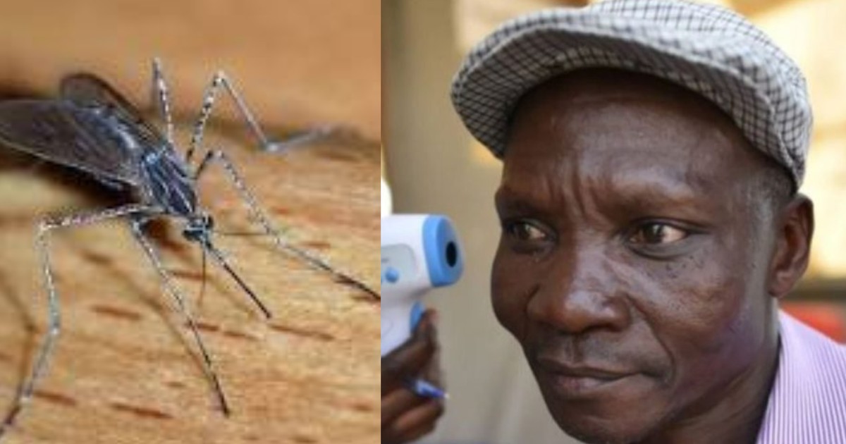 Man whose fart kills mosquitoes has been hired to produce belly gas for