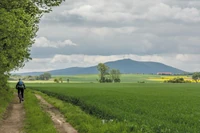 Dolny Śląsk na rowerze. Ta trasa jest trochę dzika, trochę historyczna, momentami wymagająca