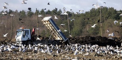 Płacimy krocie za brak smrodu!