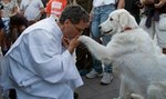 Animalpastor pobłogosławi krakowskie bezdomniaki