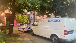 Bežanijska kosa hronika