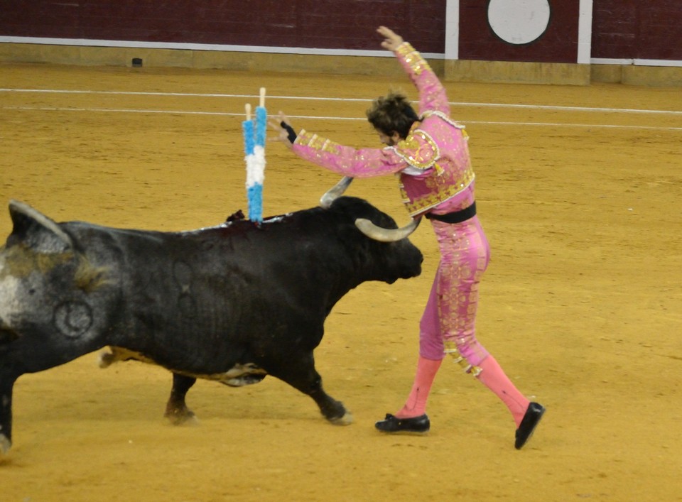 Bullfighter Juan Jose Padilla