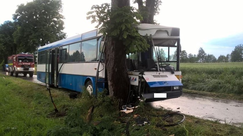 Mali bohaterowie! Ratowali opiekunkę i kierowcę w wypadku