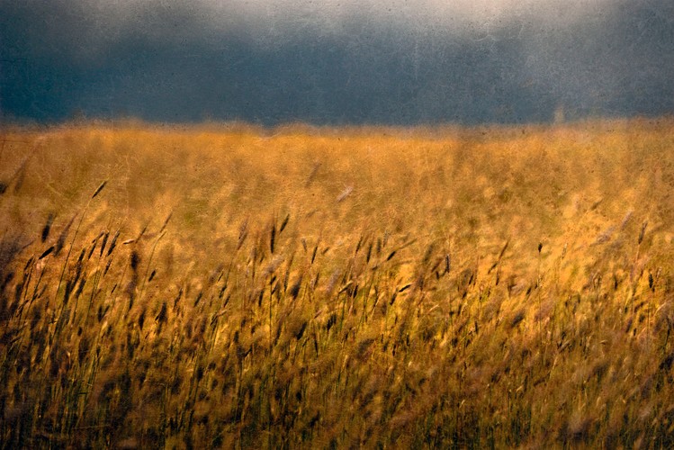 'Cztery pory roku' Tomka Sikory