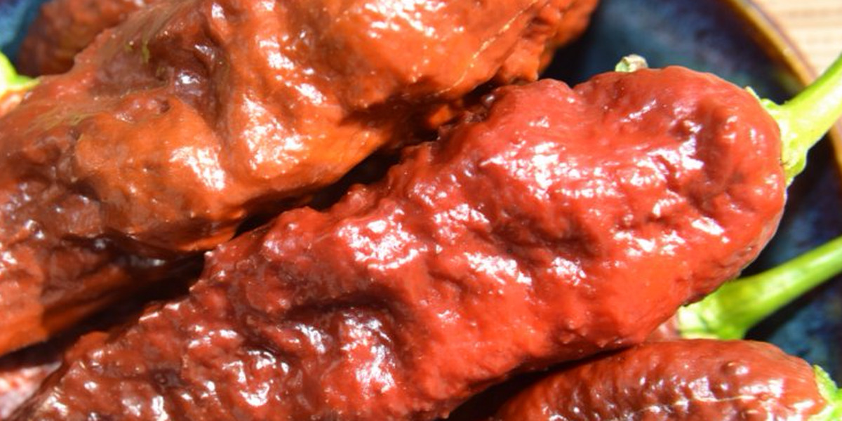 A ghost pepper challenge nearly killed a man by tearing a hole in his esophagus