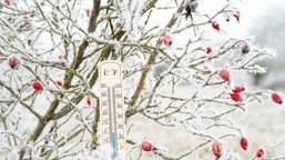 siarczyste mrozy nie odpuszczają. będzie bardzo zimno [prognoza imgw]