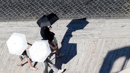 mordercze upały w rzymie. kryzysowa sytuacja, służby w gotowości