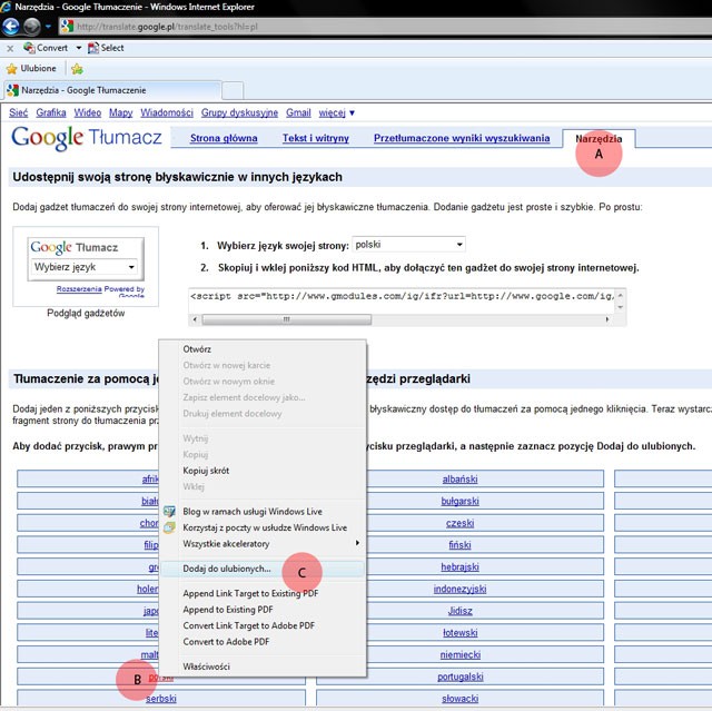 Internet Explorer: tłumacz z Google