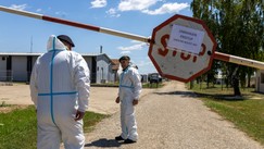 Farma svinja