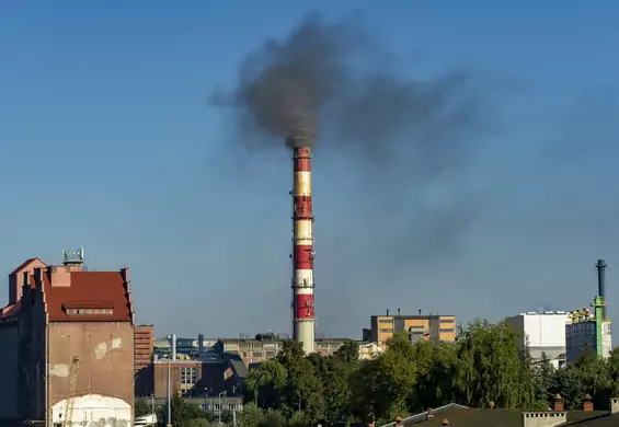 Minister Klimatu broni ogrzewania węglem. Raport pokazał, że nie ma racji