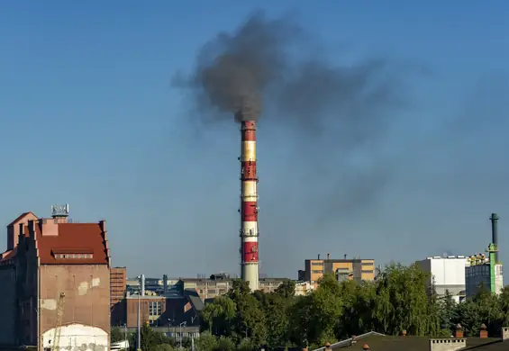 Minister Klimatu broni ogrzewania węglem. Raport pokazał, że nie ma racji