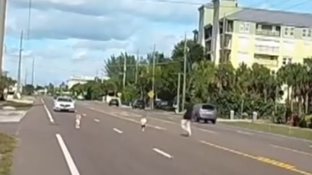 Muškarac spasio dve devojčice na ulici