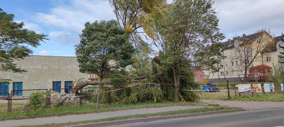 Zerwane linie energetyczne, uszkodzone pojazdy i powolne drzewa. Nad regionem przechodzi wichura