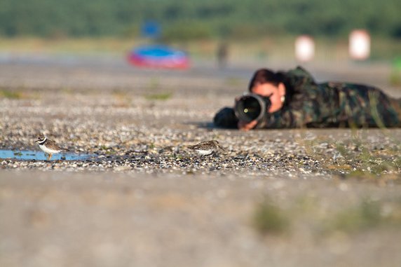 Fotografia przyrodnicza po drugiej stronie lustra