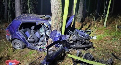 Tragedia pod Pleszewem. Nie żyje dwóch nastolatków. Przerażające ustalenia śledczych