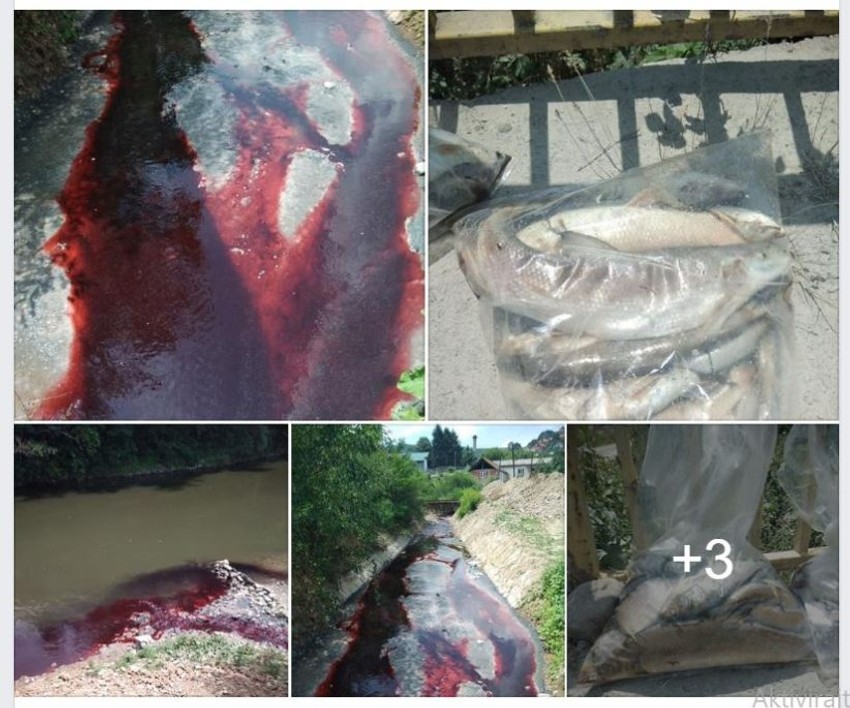 Slike krvavo crvene vode i mrtve ribe u Južnoj Moravi, koje kruže društvenim mrežama