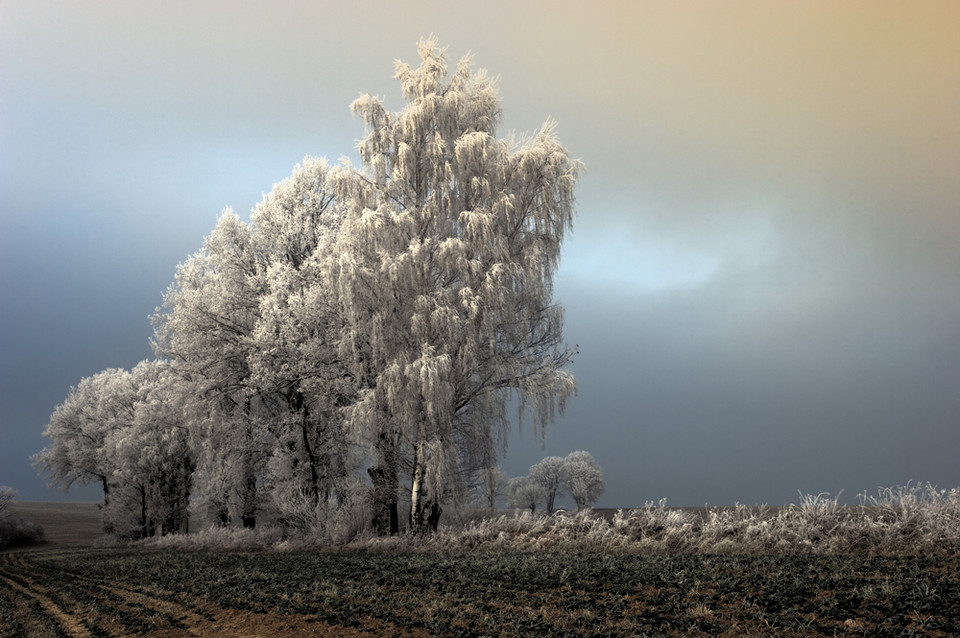 6. Wielki Konkurs Fotograficzny National Geographic Polska