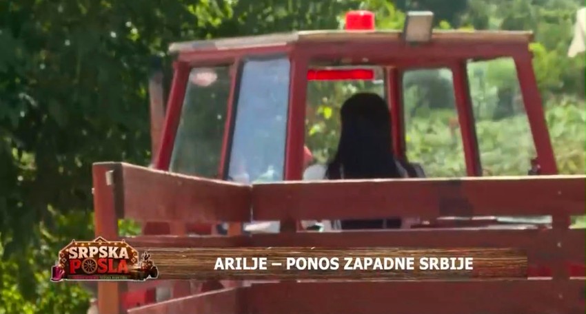 Srpska posla