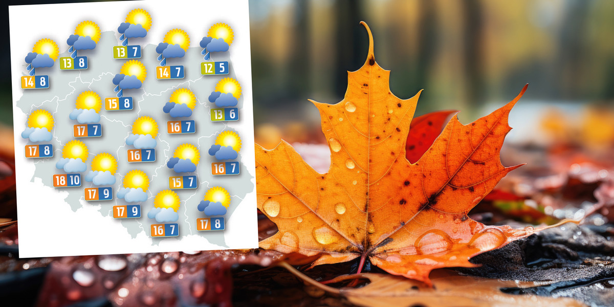 Deszcz, chmury, mgły, wiatr i słońce. Jest w prognozie wszystko. 1 listopada – generalnie - będzie ciepło, ale przyda się parasol.