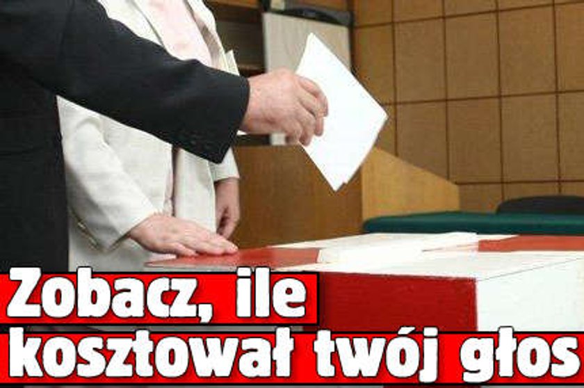 Zobacz, ile kosztował twój głos