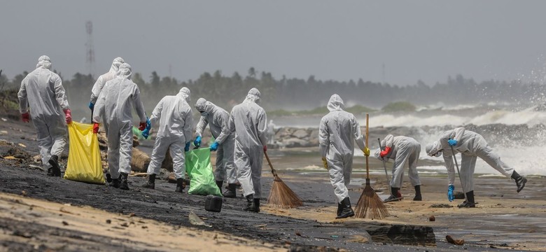 Katastrofa ekologiczna na Sri Lance. Morze na brzeg wyrzuca martwe zwierzęta