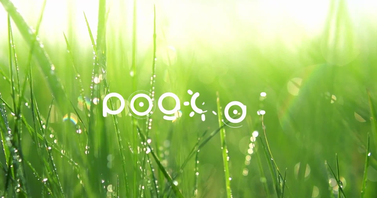 Pogoda Opole na dziś. Prognoza pogody 11.07.2021 - Vimarsana News