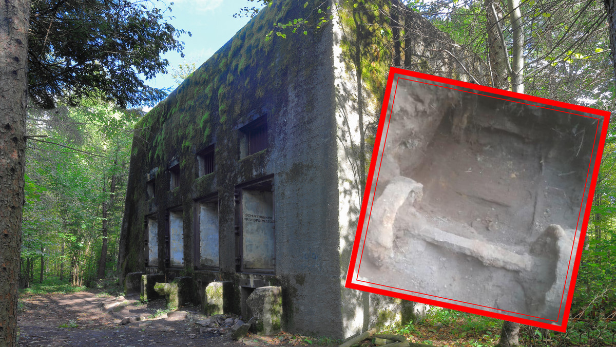 Na terenie kompleksu bunkrów w Mamerkach odnaleziono zasypane tory