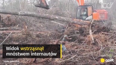 Jakie nagrania najchętniej oglądaliśmy w 2018 roku?