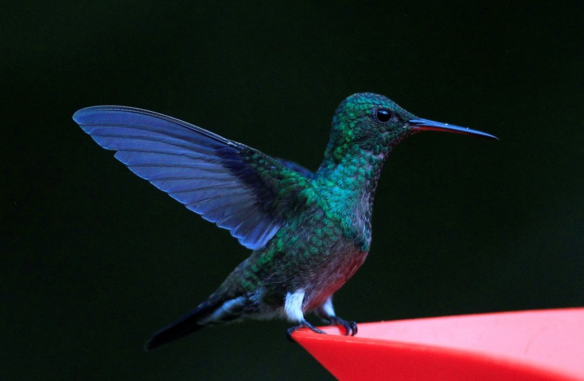 Vi ste samo biološki sistem koji radi u društvenom sistemu