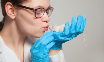 nátha, megfázás, influenza, vírus, orrfolyás