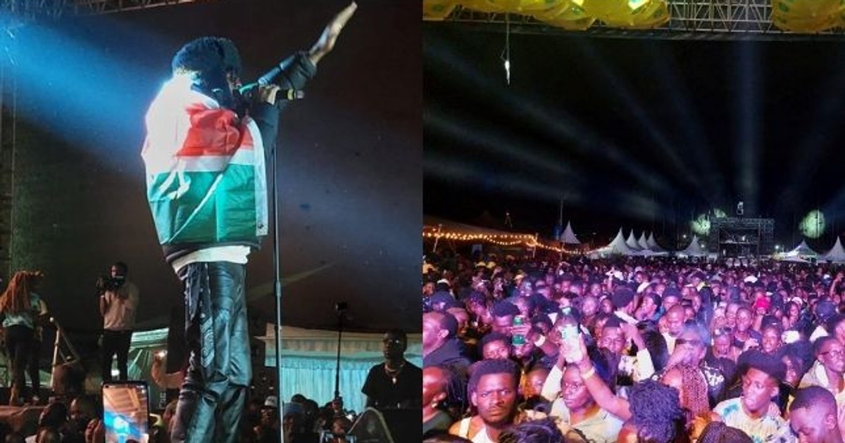 How Rema's much hyped concert went down at Carnivore Grounds - Vimarsana News