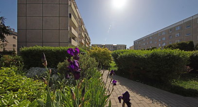 Uważaj na zdradliwą pogodę i nie daj się zwieść słońcu za oknem. Niż przyniesie deszcze i burze