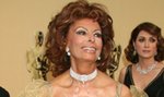 Sophia Loren skończyła 88 lat. Jak na przestrzeni kariery zmieniała się aktorka? [ZDJĘCIA]