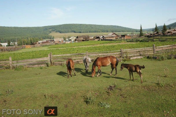 campus syberia mongolia galeria 23