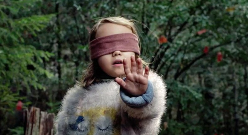 Bird Box Netflix