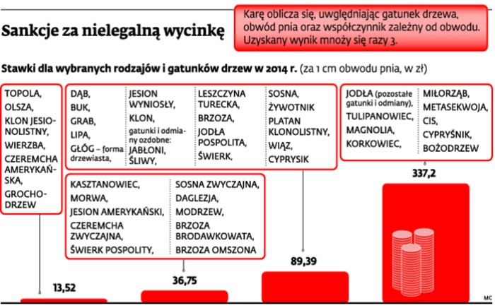 Sankcje za nielegalną wycinkę