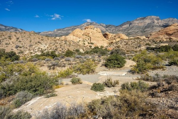 Parlament-bih-srpski-poslanici