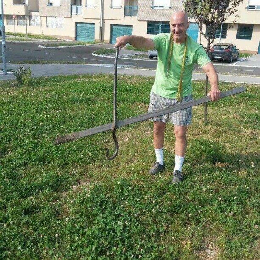 Građani su se i ranije susretali sa zmijama