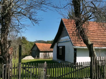 Danas je jedna od najplaćenijih pevačica u regionu, na slavljima zgrće ozbiljnu lovu, a ODRASLA USRED ŠUME: Do njene kuće se zimi jedva dolazilo zimi