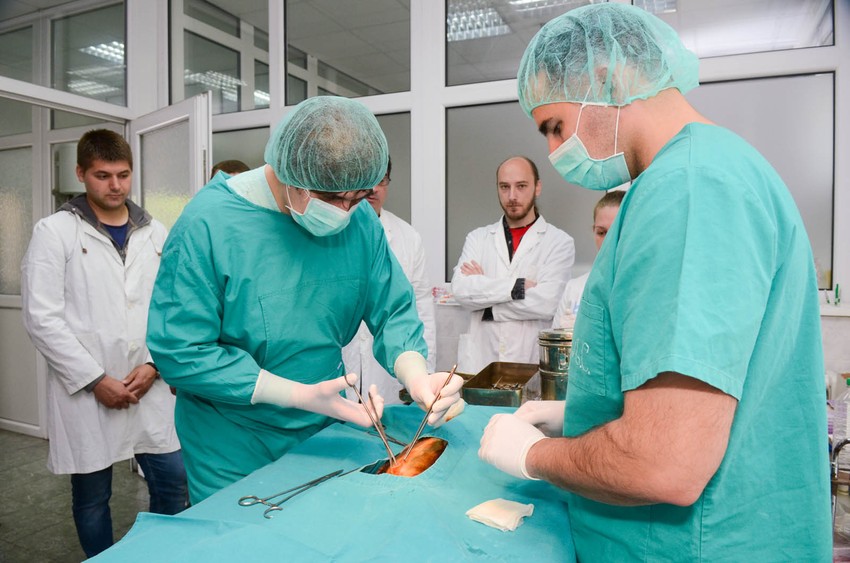 Maca je u sigurnim rukama