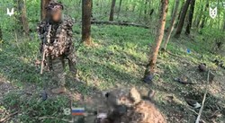 Cały oddział Rosjan zmasakrowany w lesie. Wpadli w zasadzkę ukraińskich komandosów