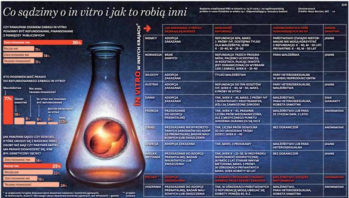 Co sądzimy o in vitro i jak to robią inni