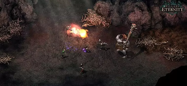 Polskie, pudełkowe wydanie Pillars of Eternity zapowiada się wyjątkowo smakowicie