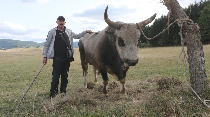 Anto Budimir sa bikom Alkarom